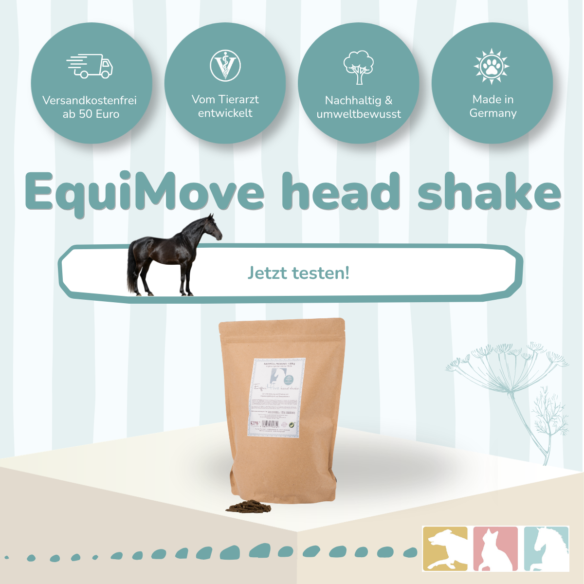 EquiMove head shake