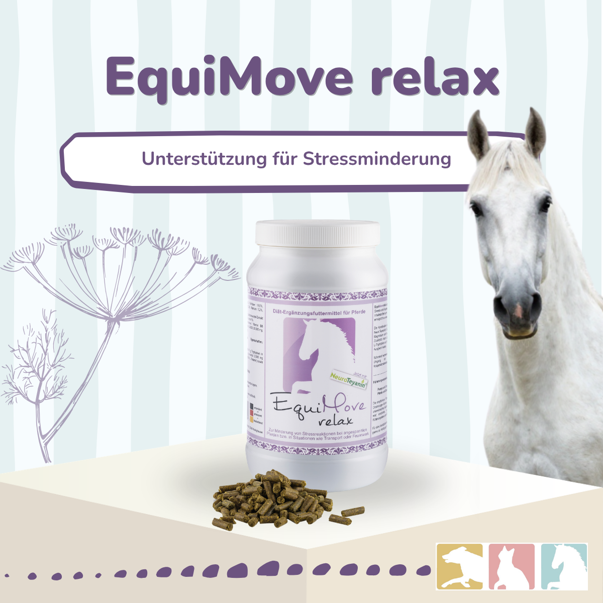 EquiMove relax