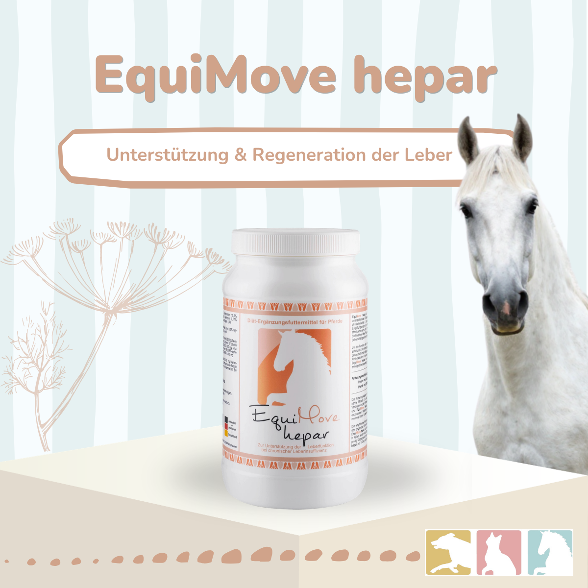 EquiMove hepar