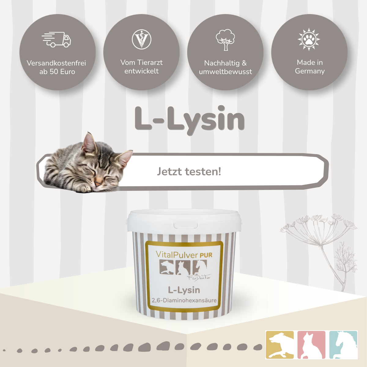 L-Lysin