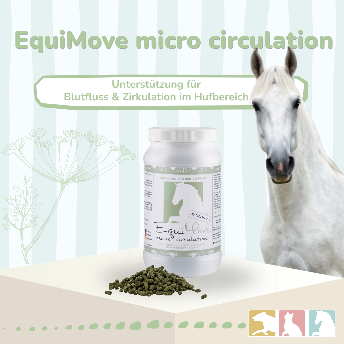 EquiMove micro circulation