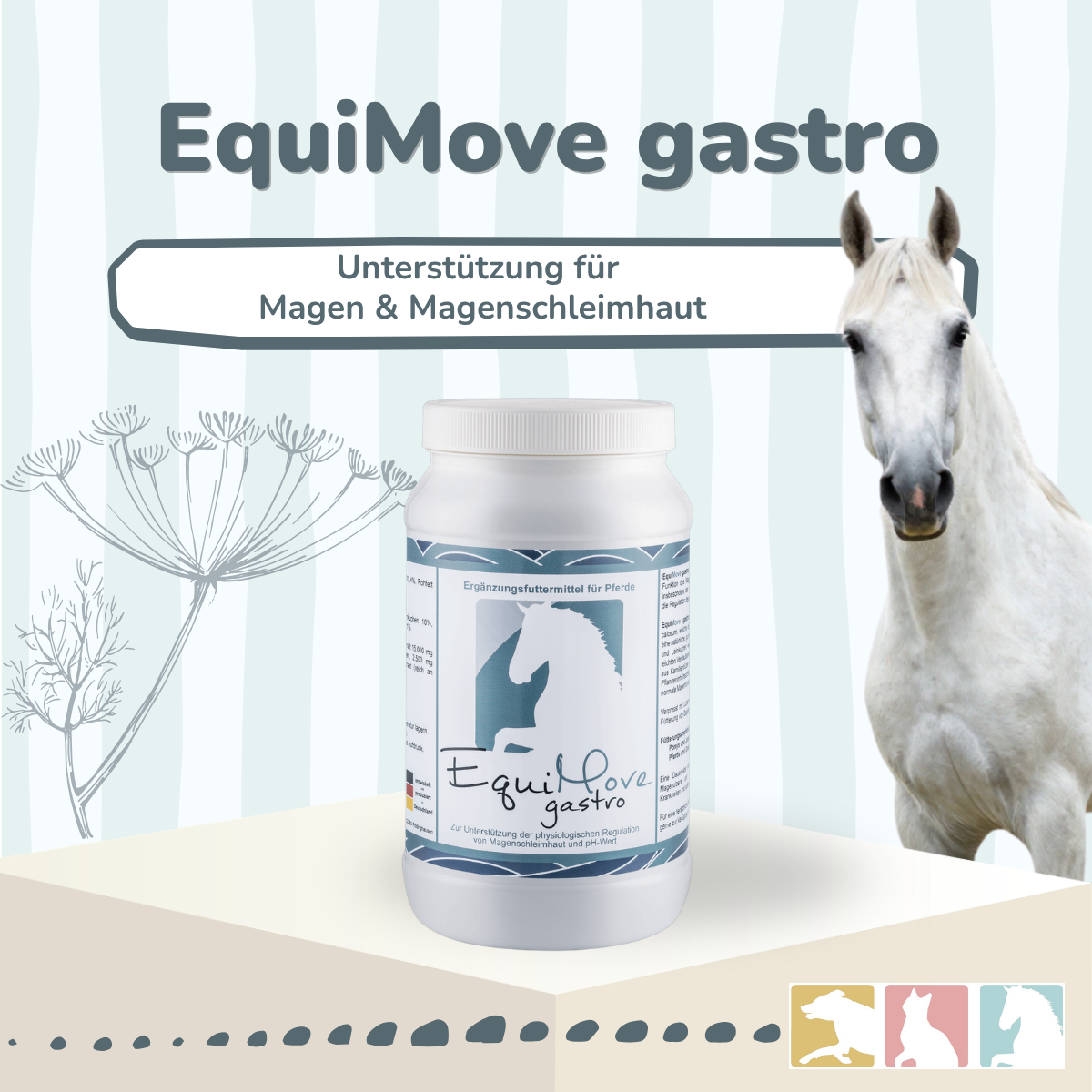 EquiMove gastro