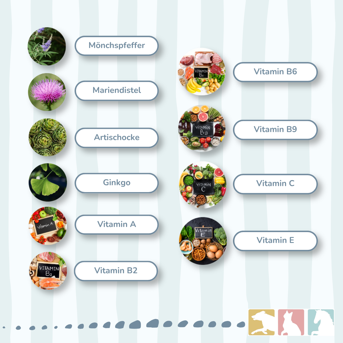 EquiMove adrenal
