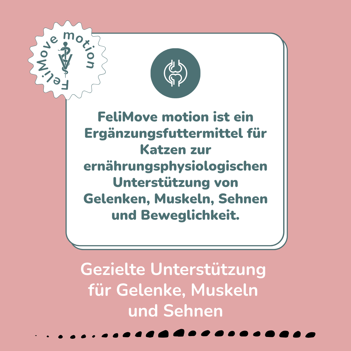 FeliMove motion