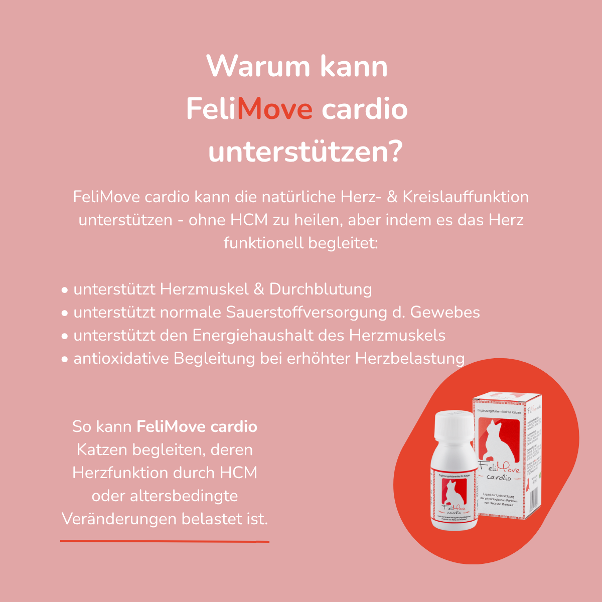 FeliMove cardio