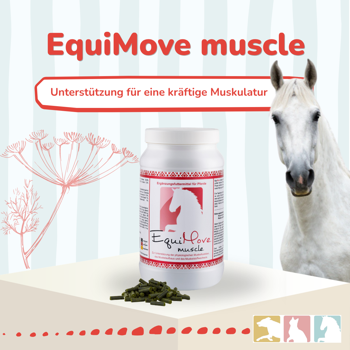 EquiMove muscle