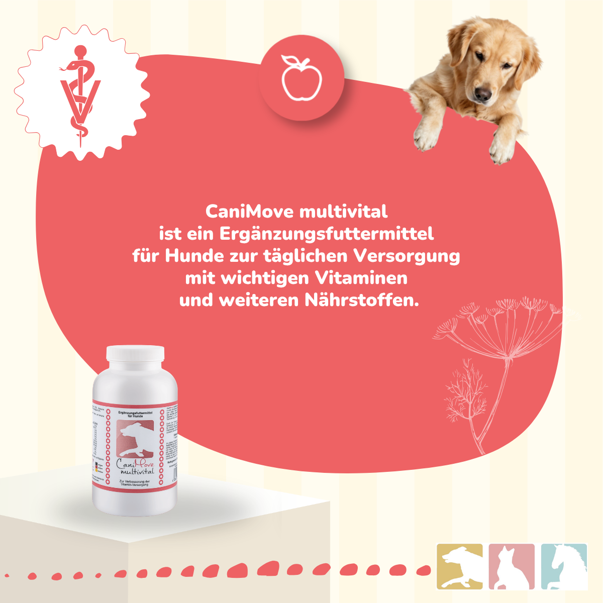 CaniMove multivital