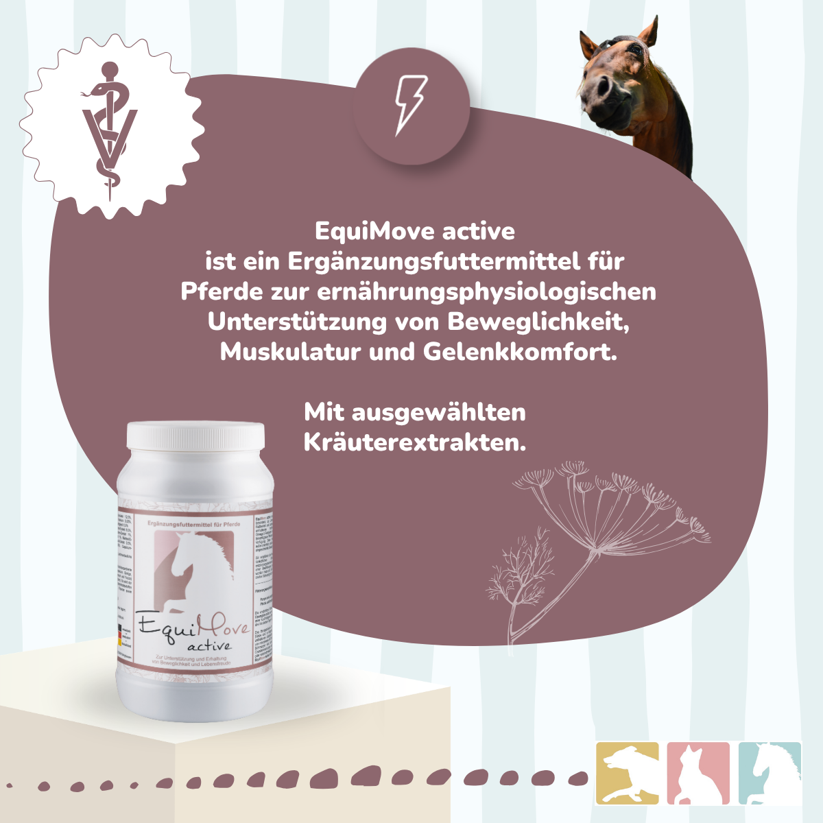 EquiMove active
