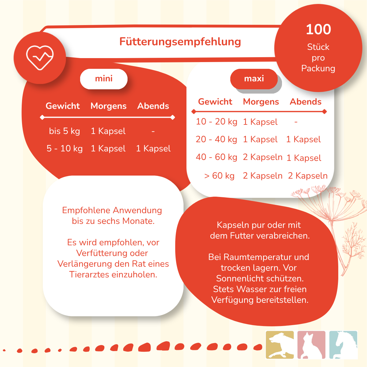 CaniMove cardio