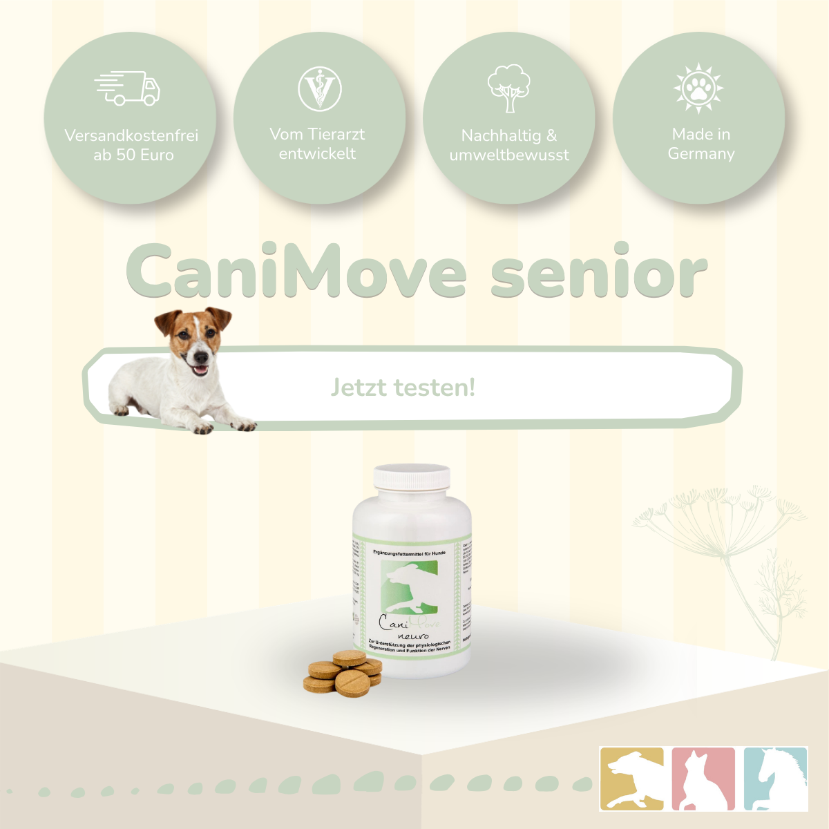 CaniMove neuro