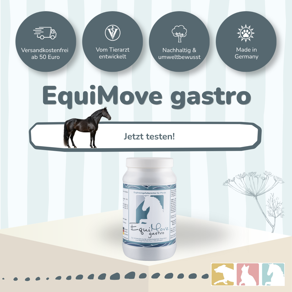 EquiMove gastro