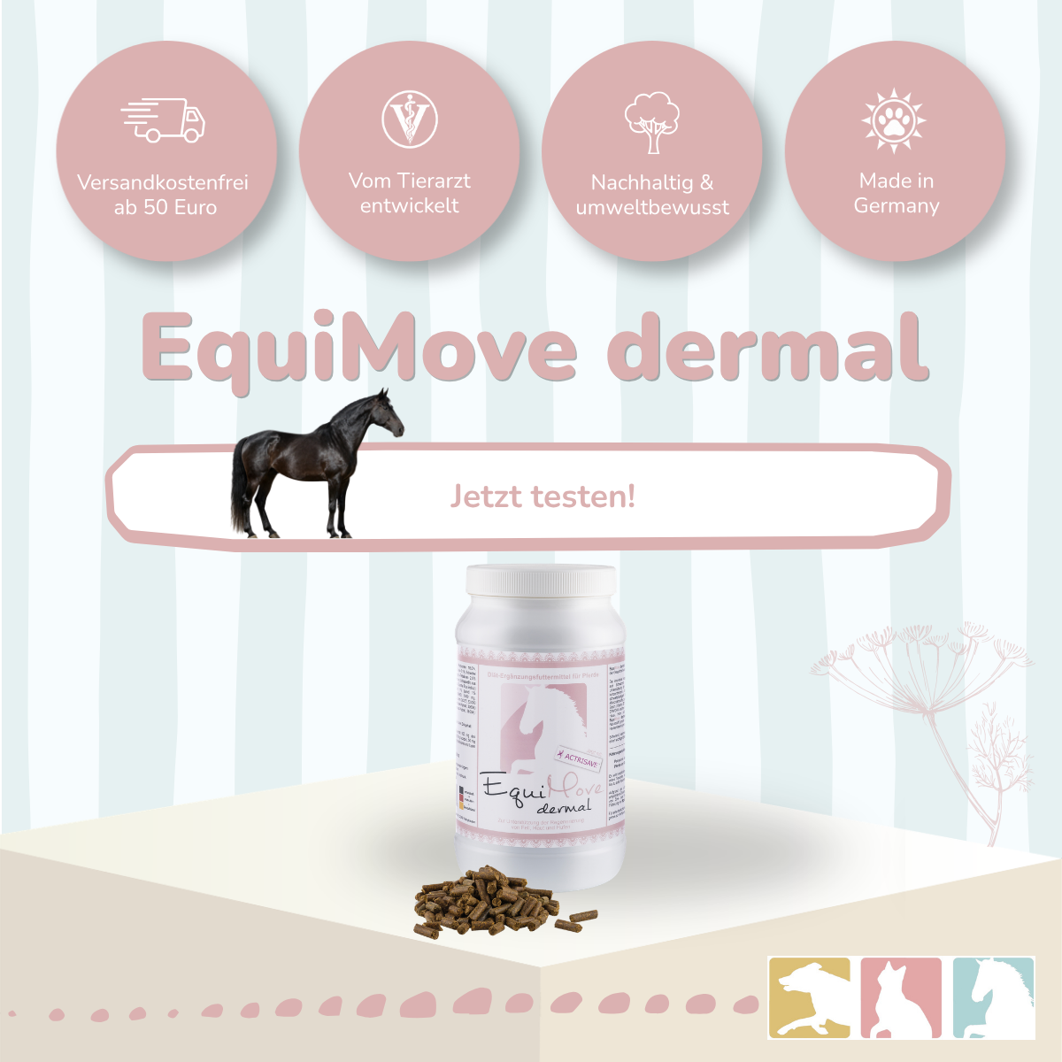 EquiMove dermal