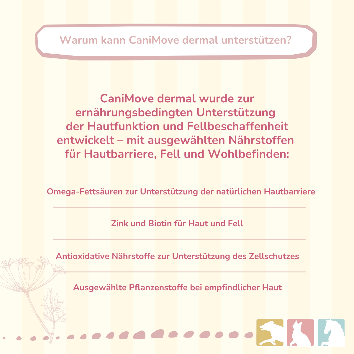CaniMove dermal