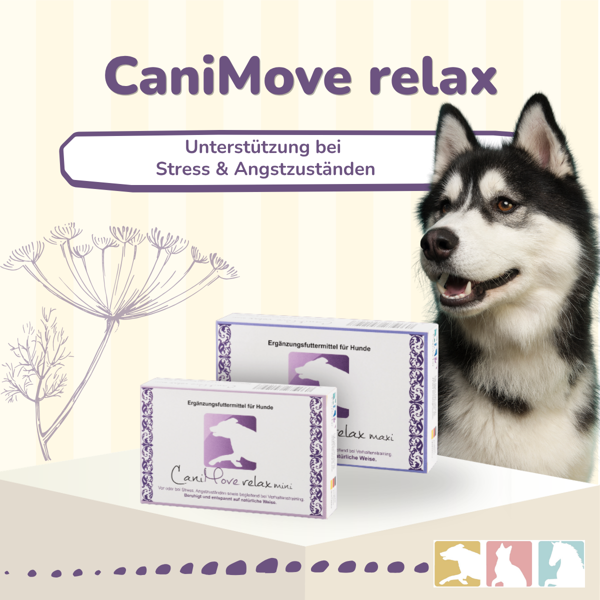 CaniMove relax