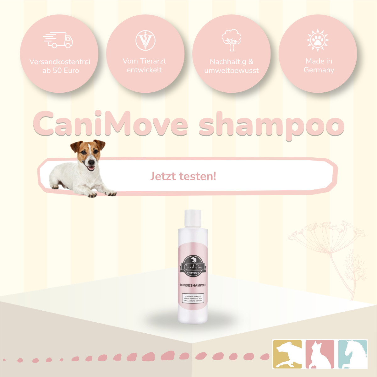 Hundeshampoo