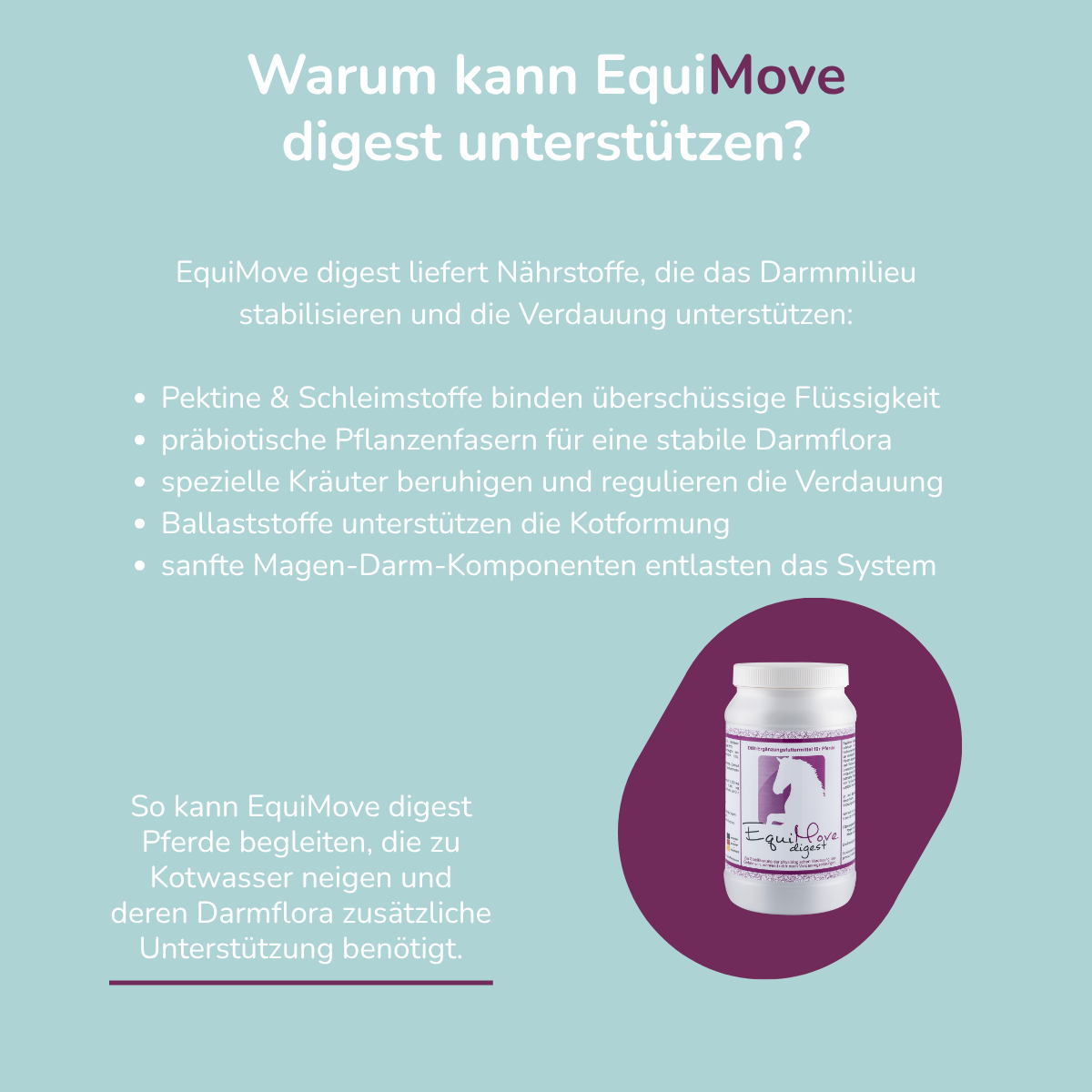 EquiMove digest