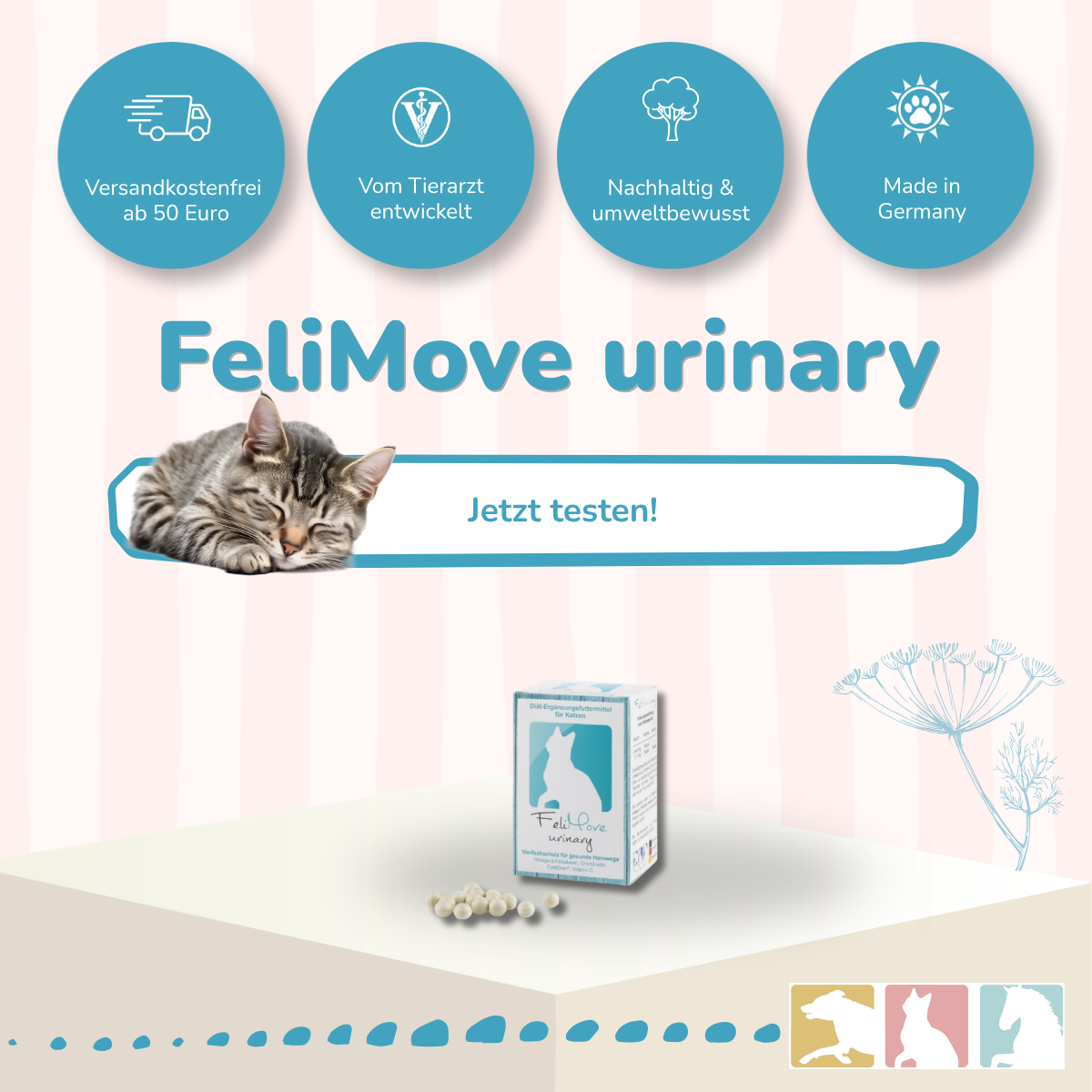 FeliMove urinary - MHD (09/26) Aktion