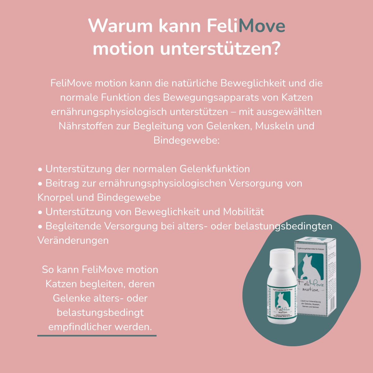 FeliMove motion