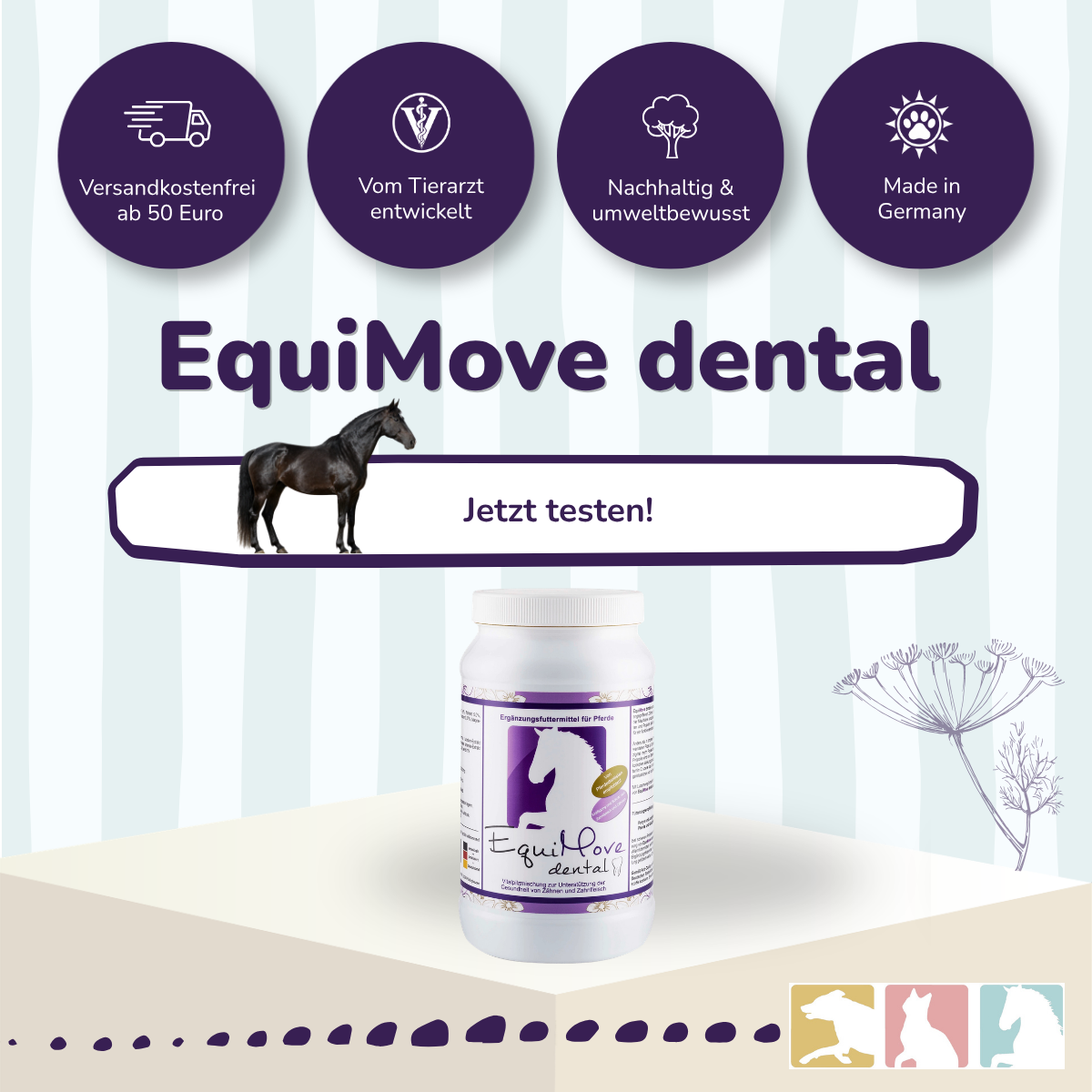 EquiMove dental