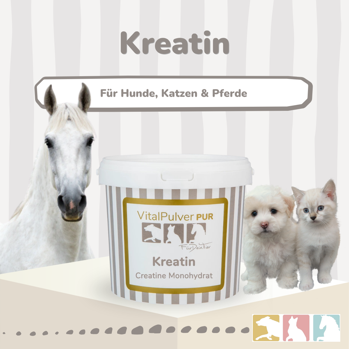Kreatin