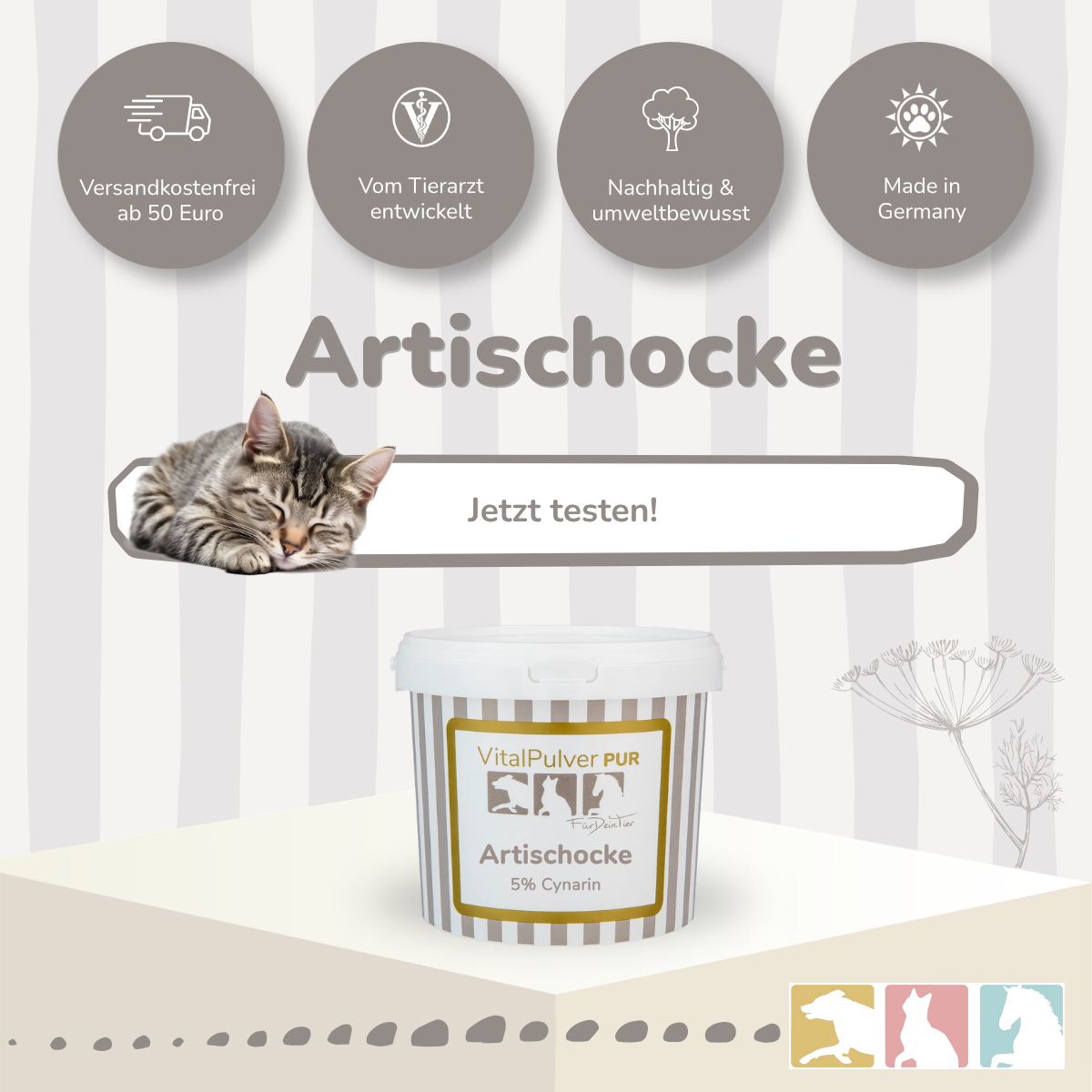 Artischocke (konz.)