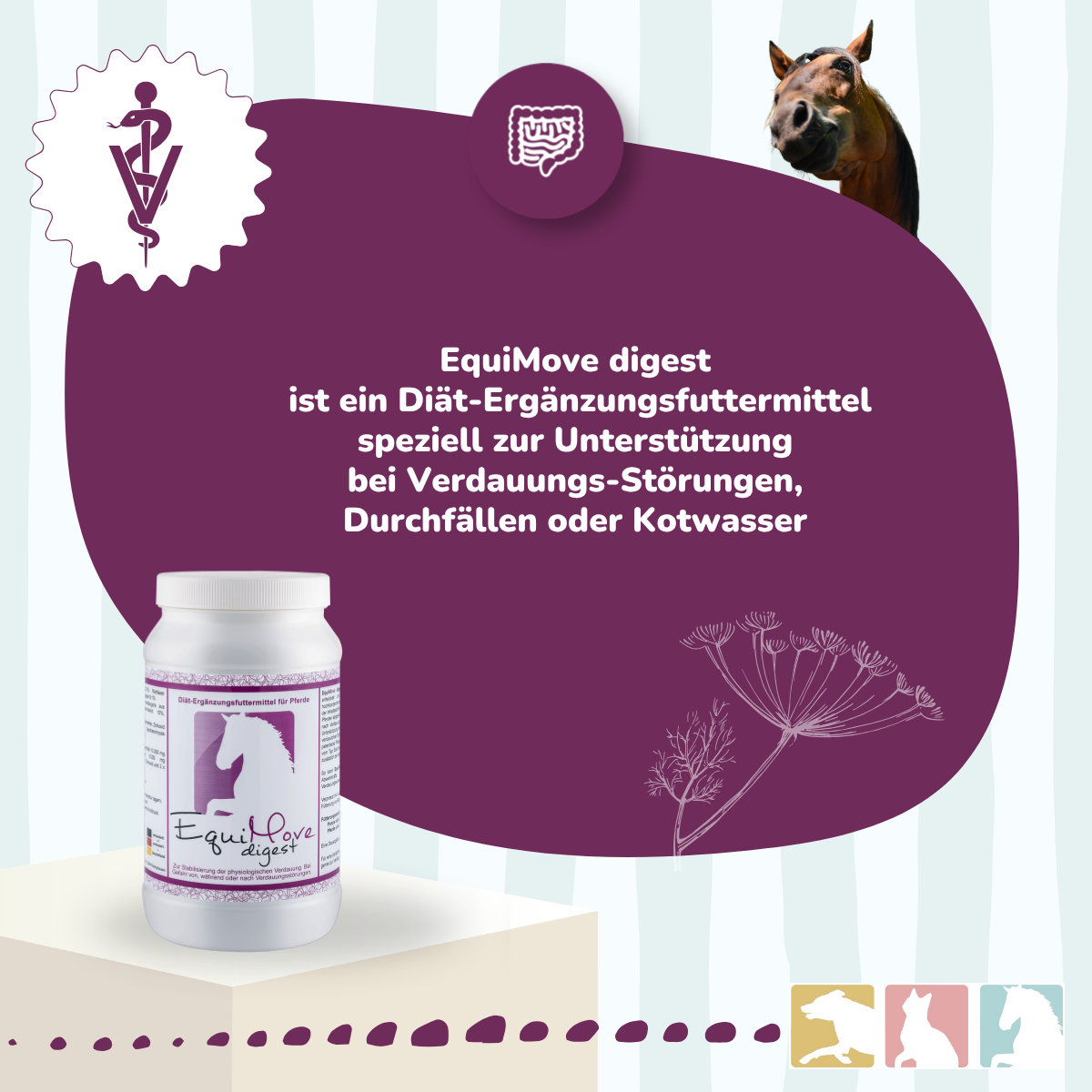 EquiMove digest