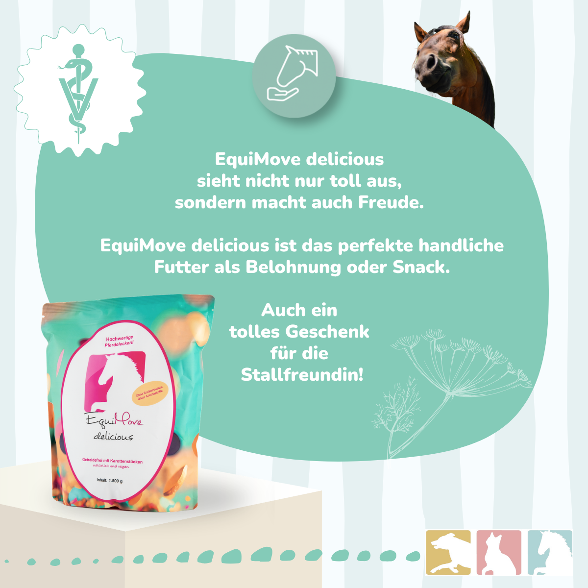EquiMove delicious