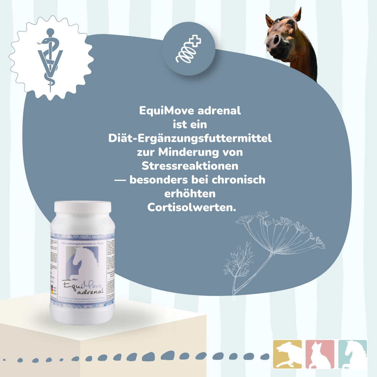 EquiMove adrenal