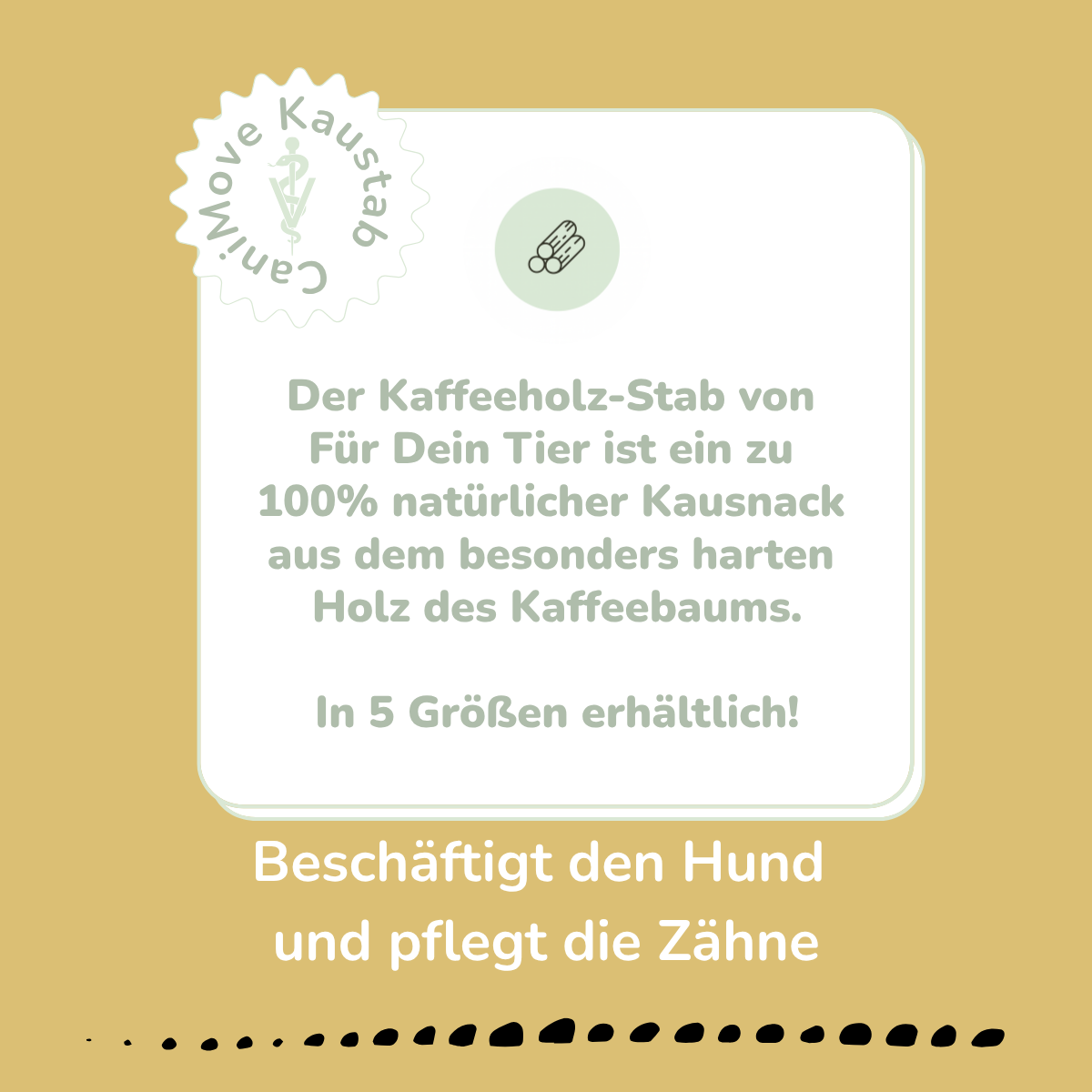 Kaustab (Kaffeeholz)