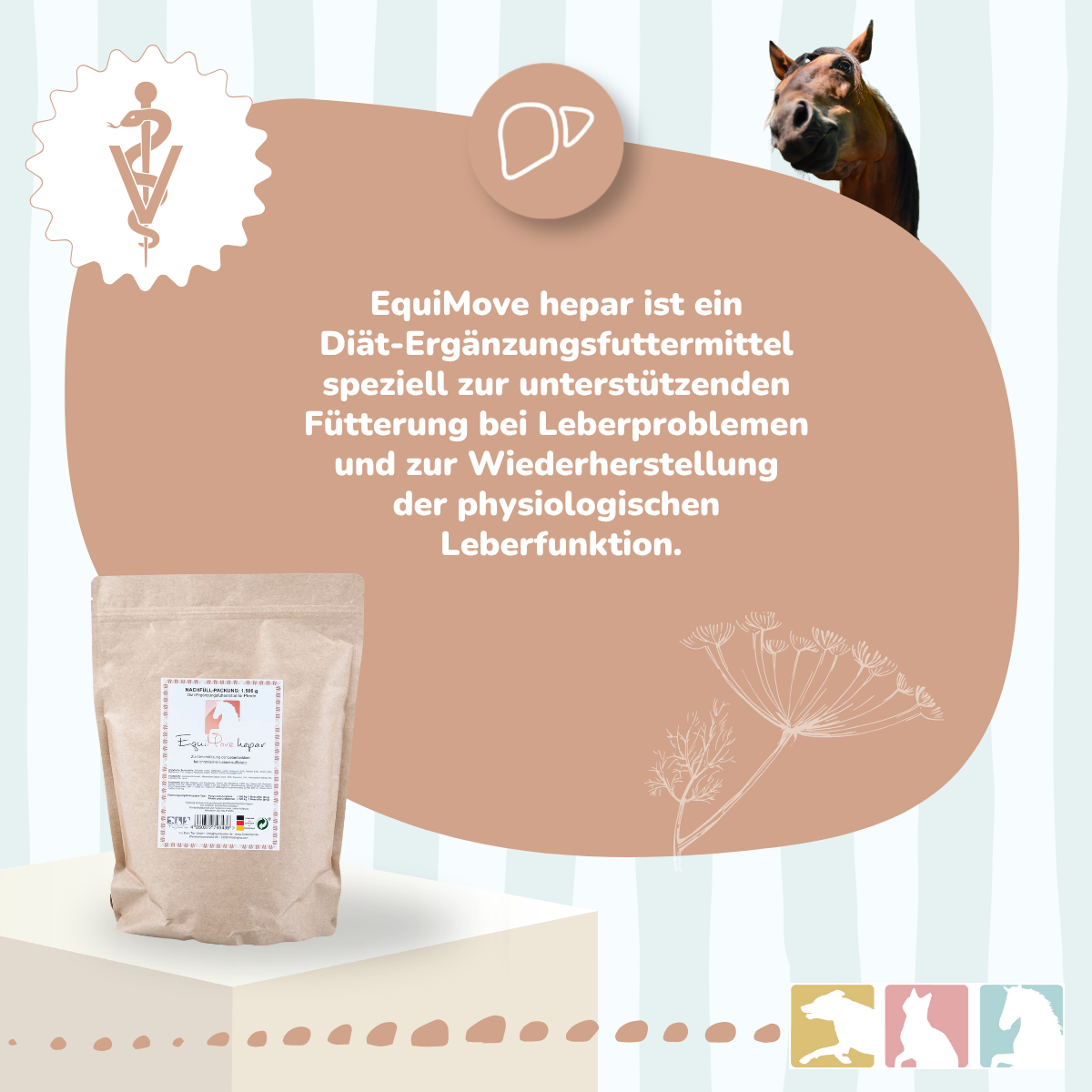 EquiMove hepar