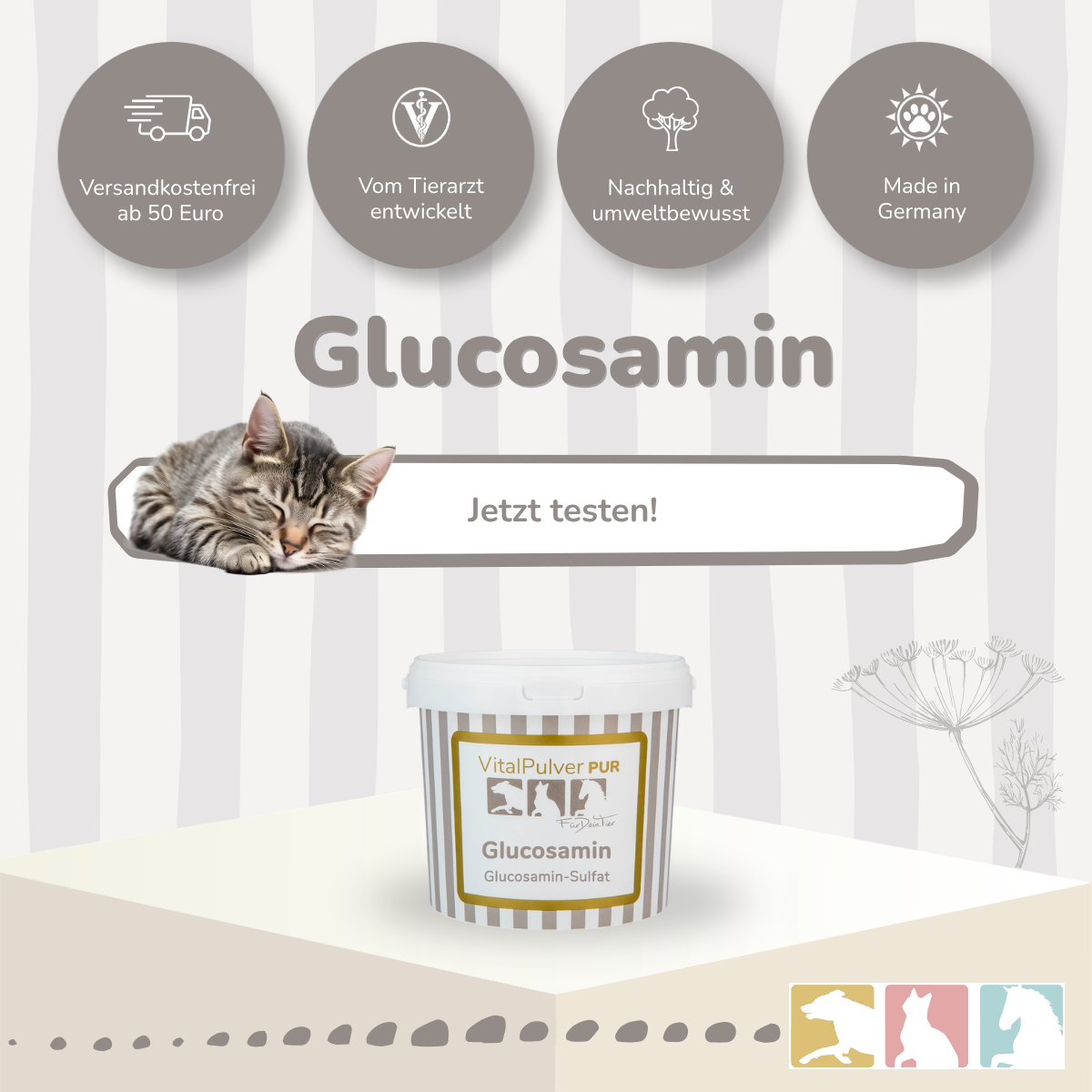 Glucosamin