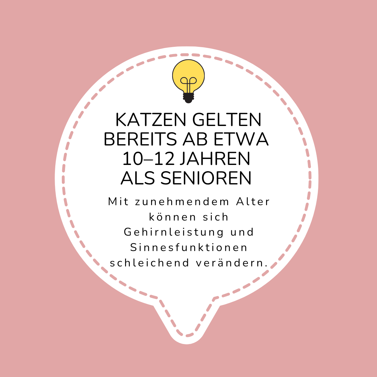 FeliMove senior