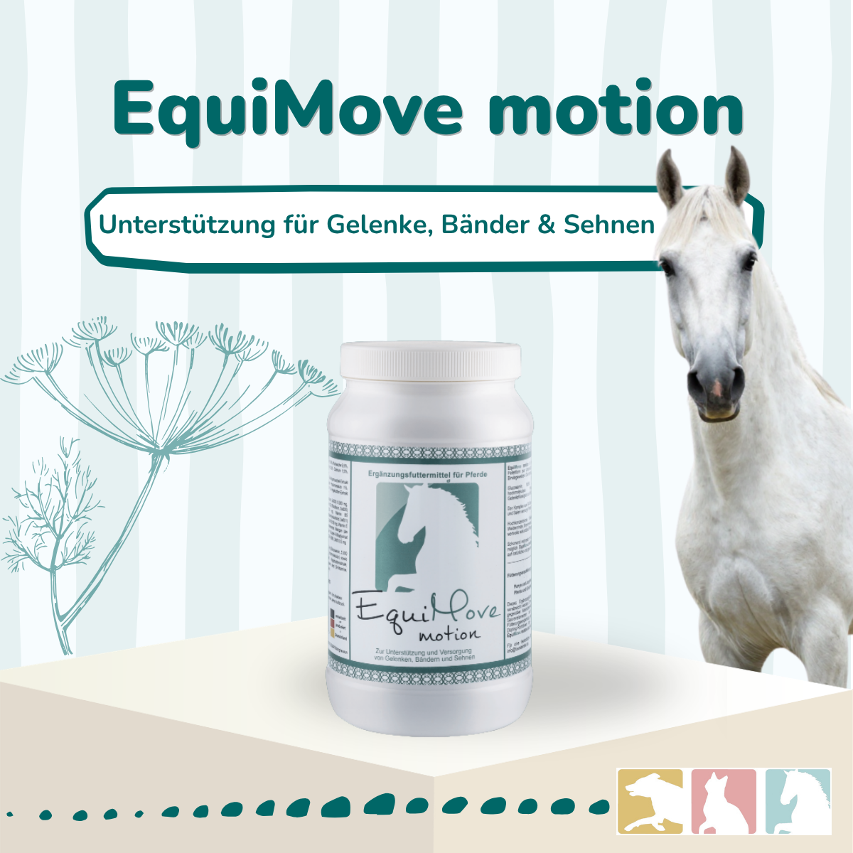 EquiMove motion