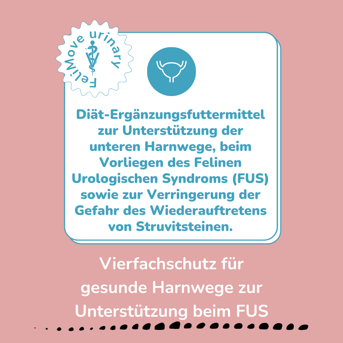 FeliMove urinary