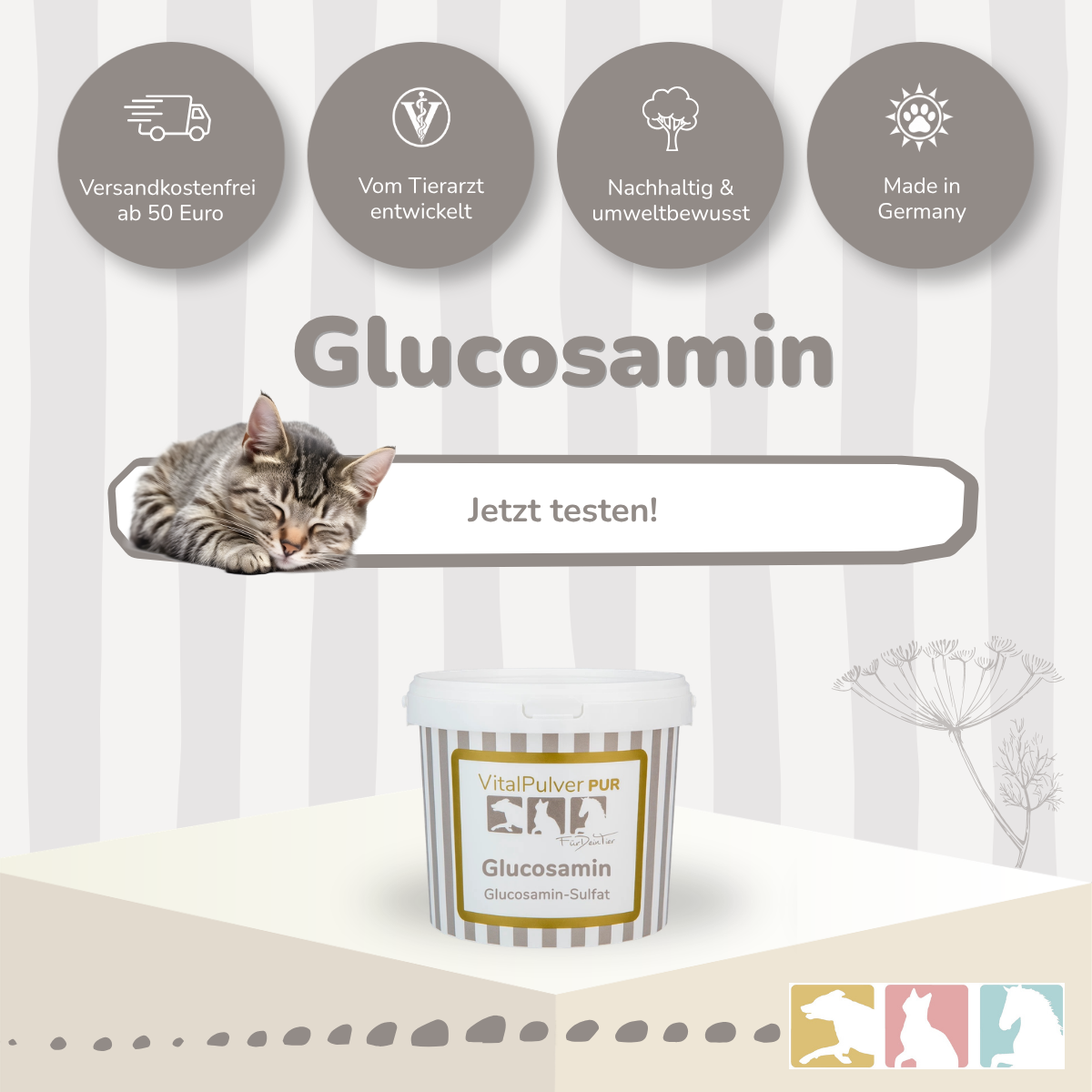 Glucosamin