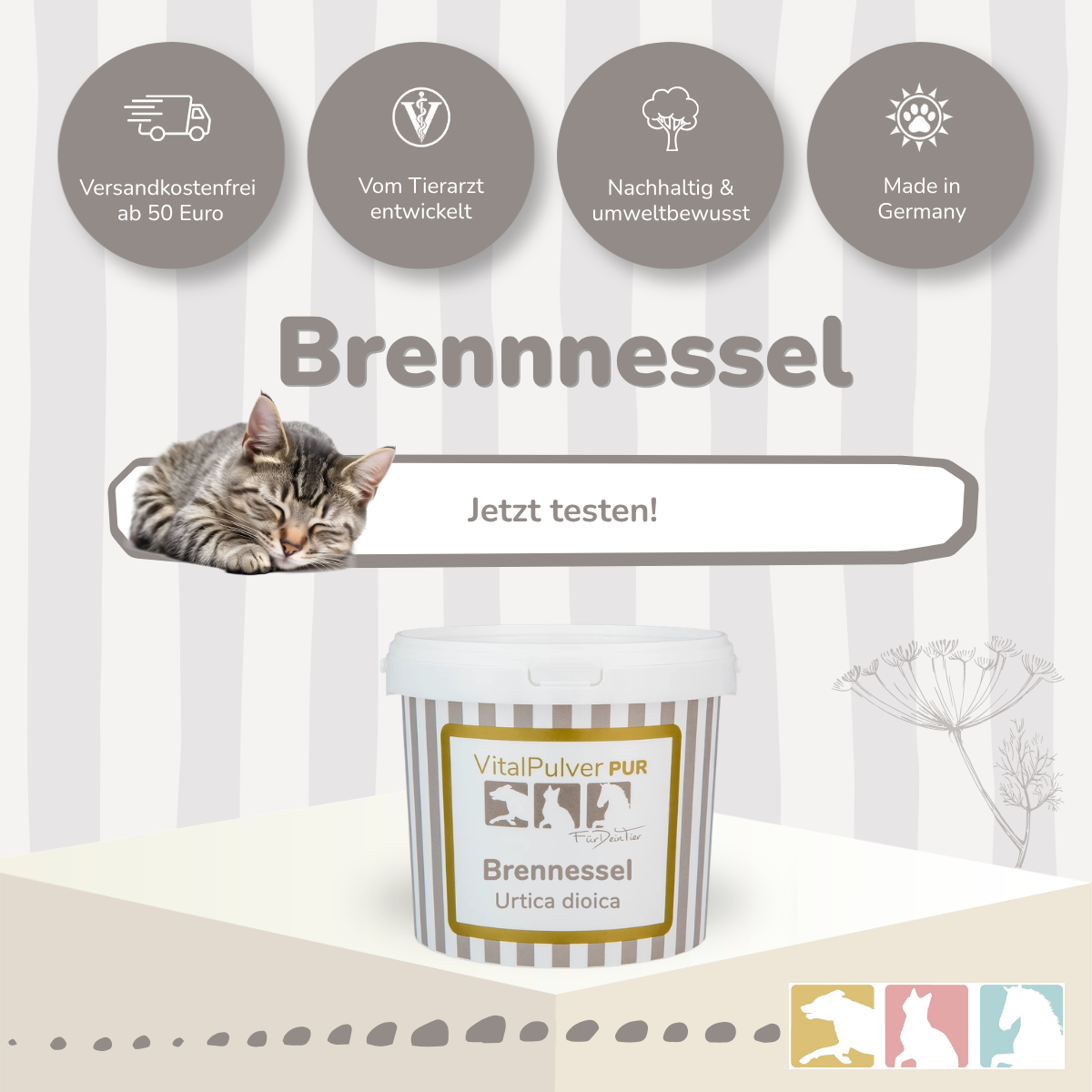 Brennnessel (konz.)