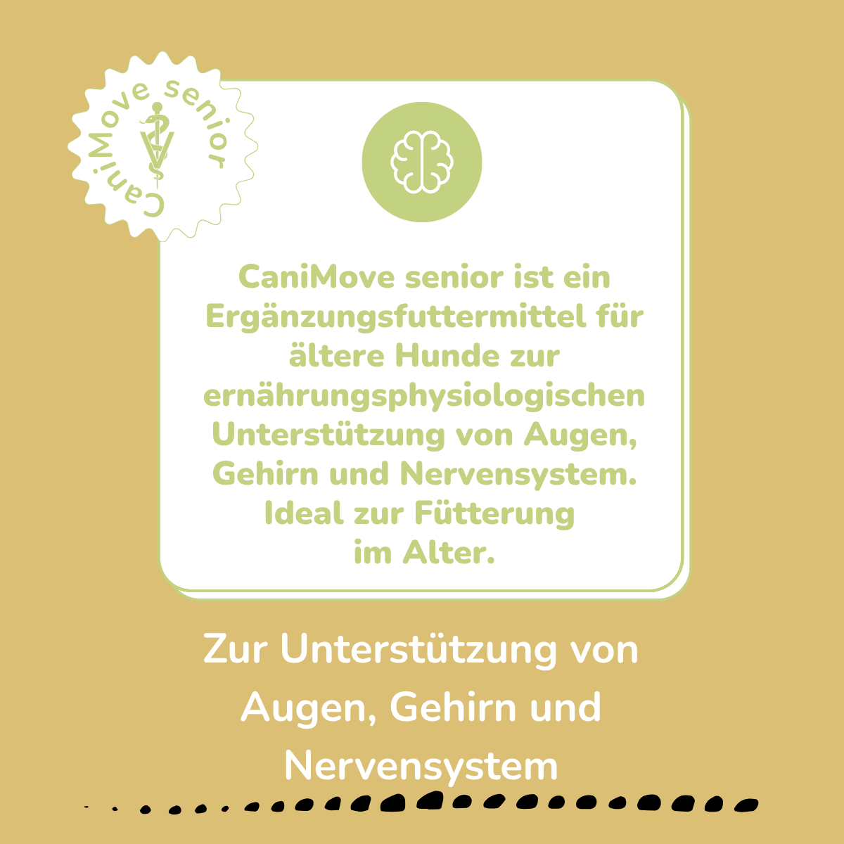 CaniMove senior