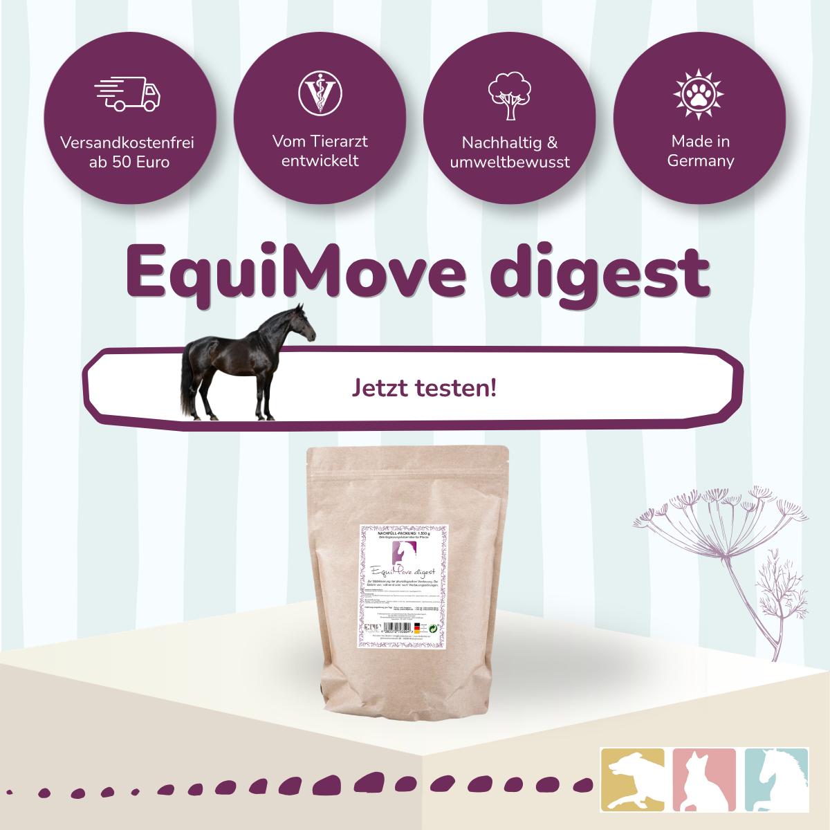 EquiMove digest