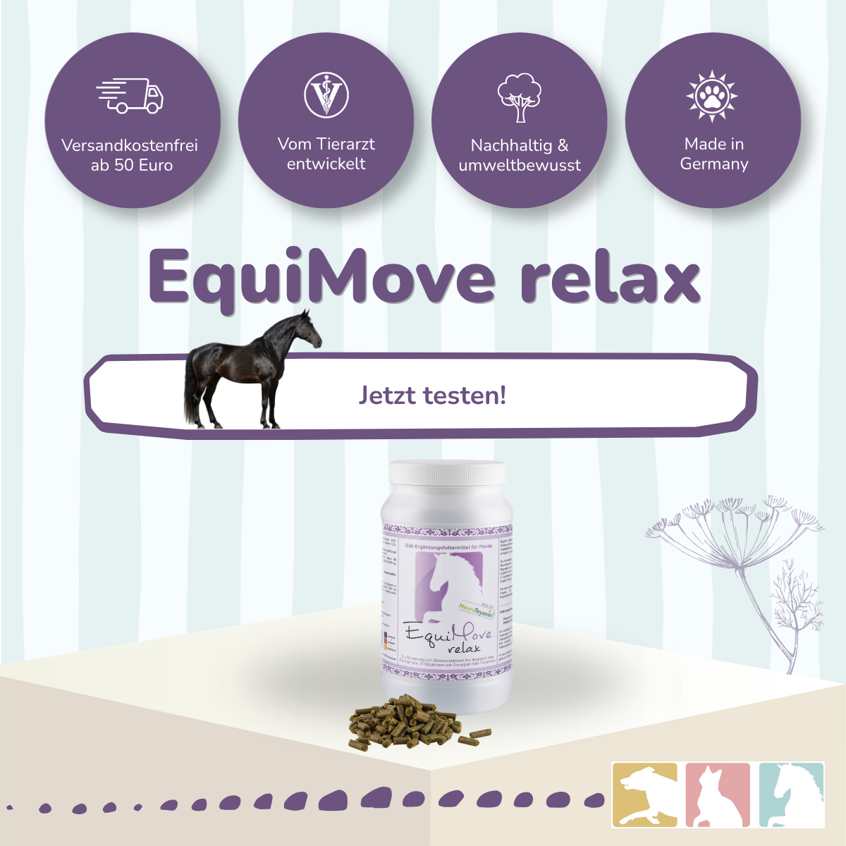 EquiMove relax
