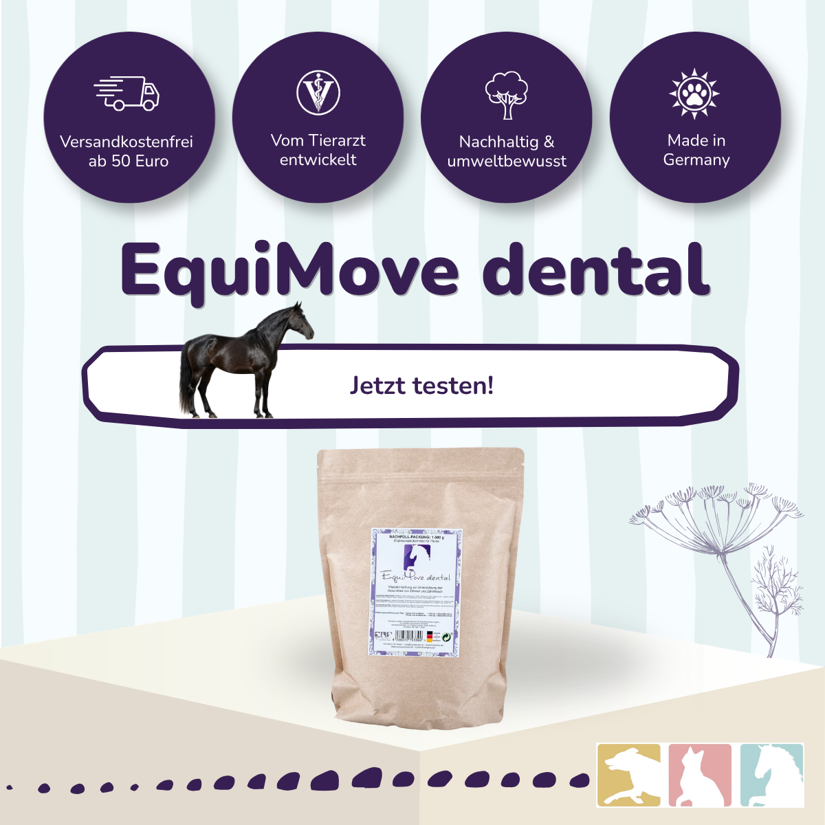 EquiMove dental