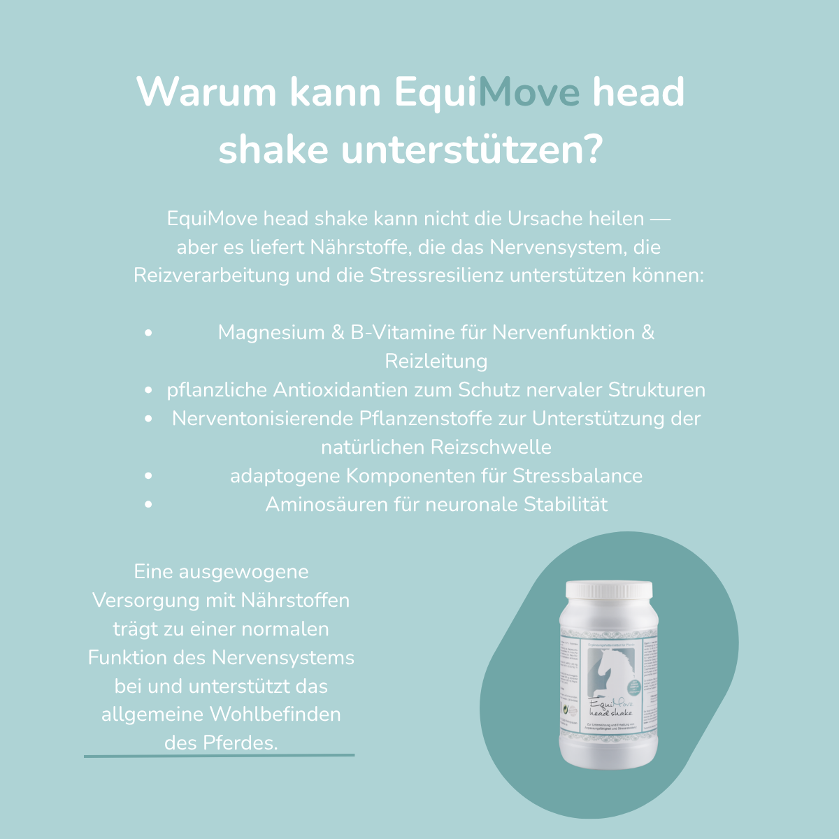EquiMove head shake