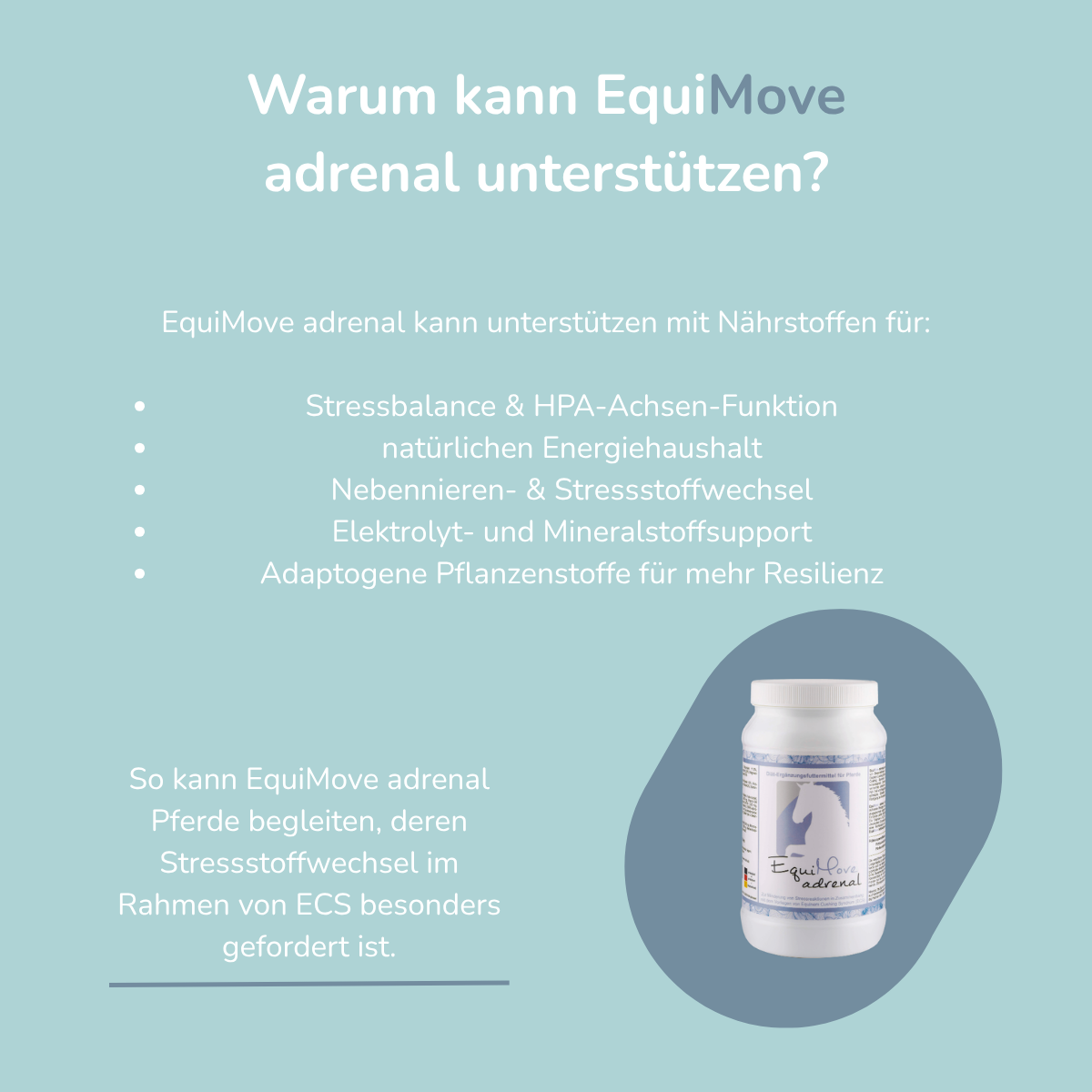 EquiMove adrenal
