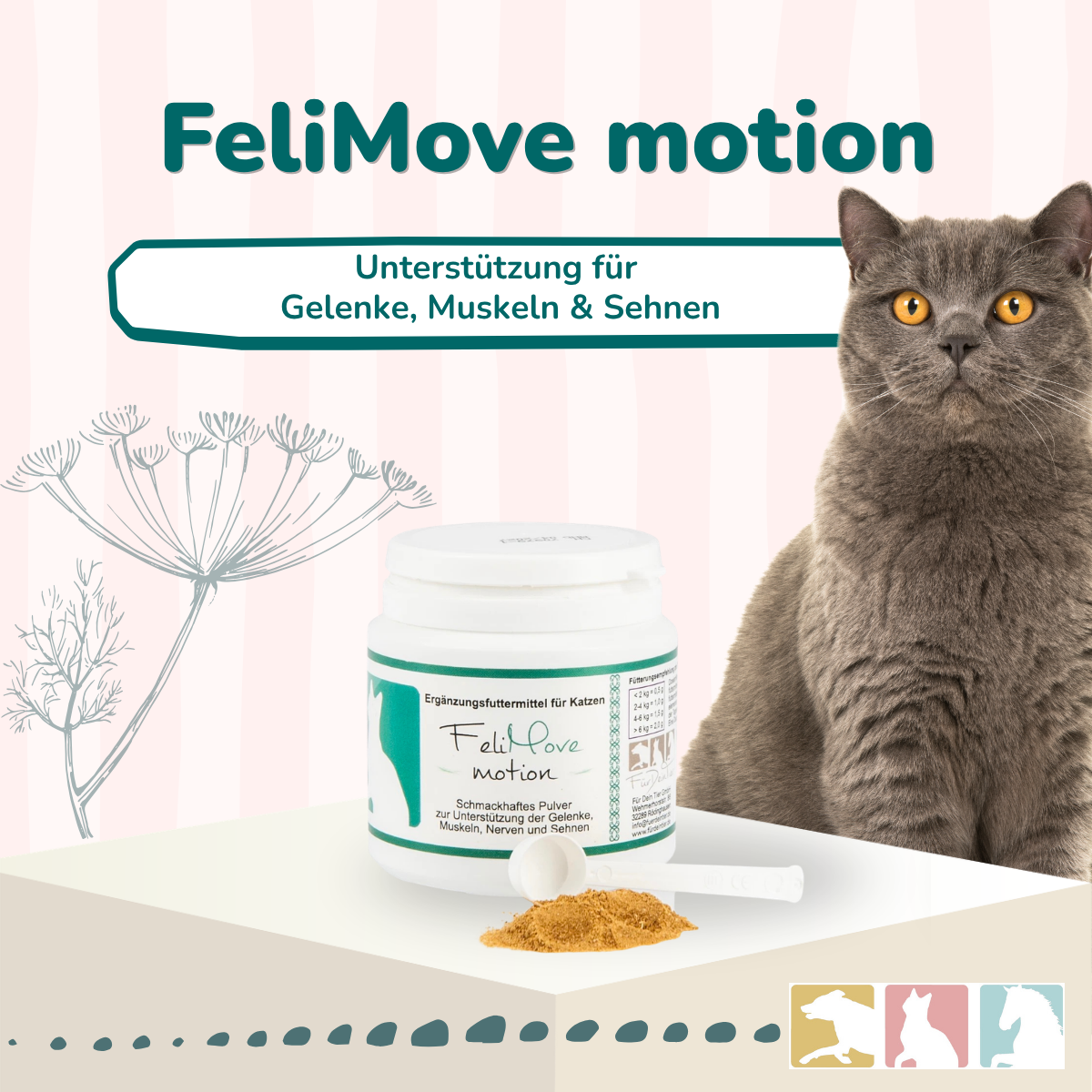 FeliMove motion