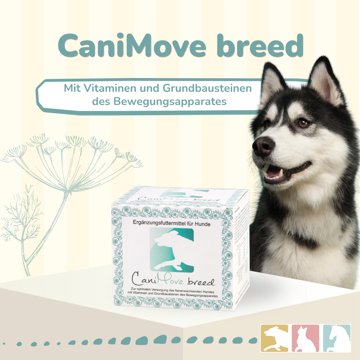 CaniMove breed