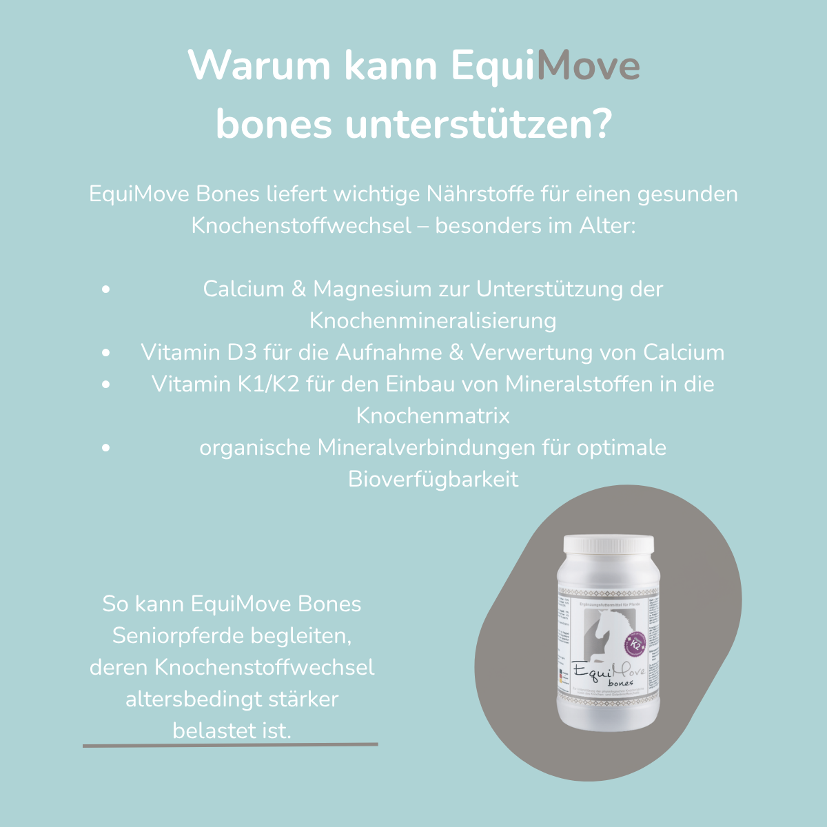 EquiMove bones