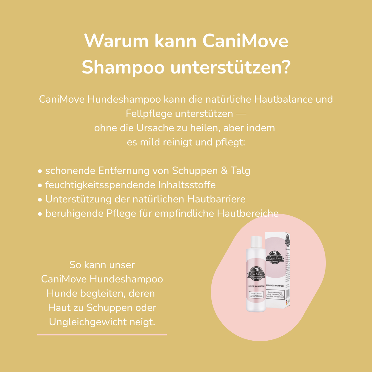 Hundeshampoo