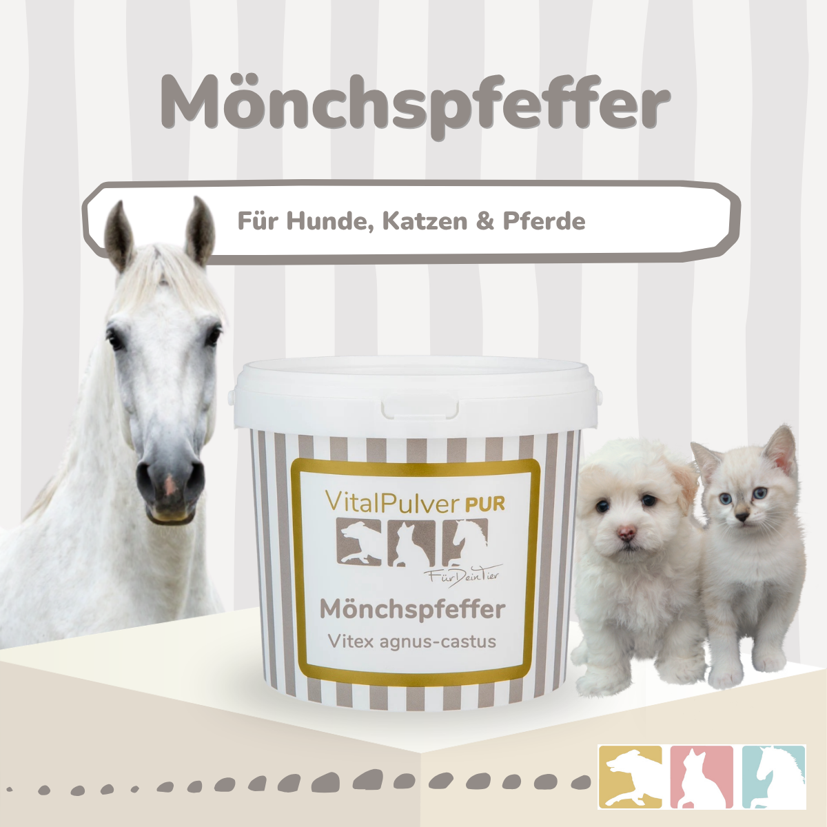 Mönchspfeffer