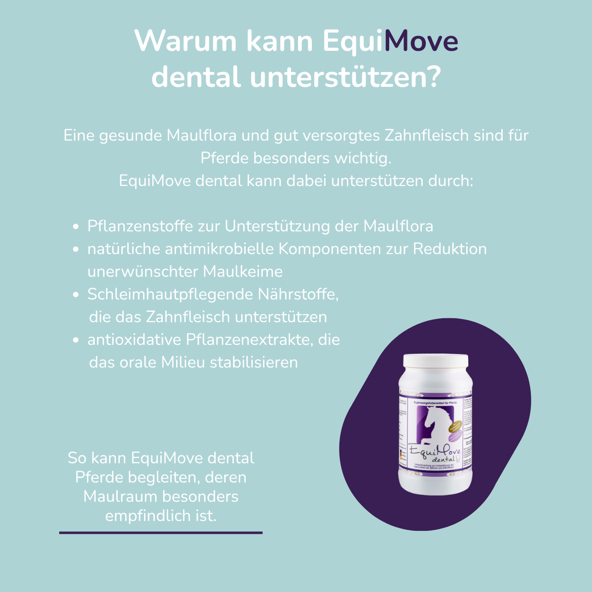 EquiMove dental