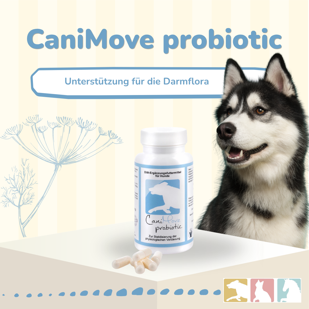 CaniMove probiotic