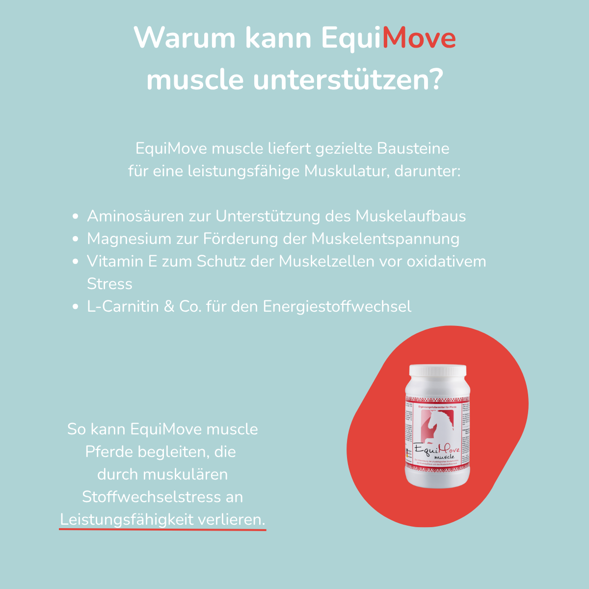 EquiMove muscle